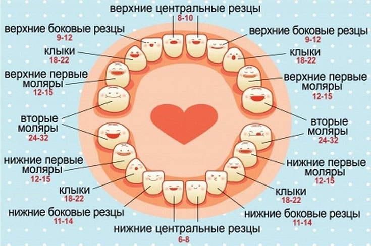 Если зубы появляются раньше или позже, стоит ли беспокоиться?